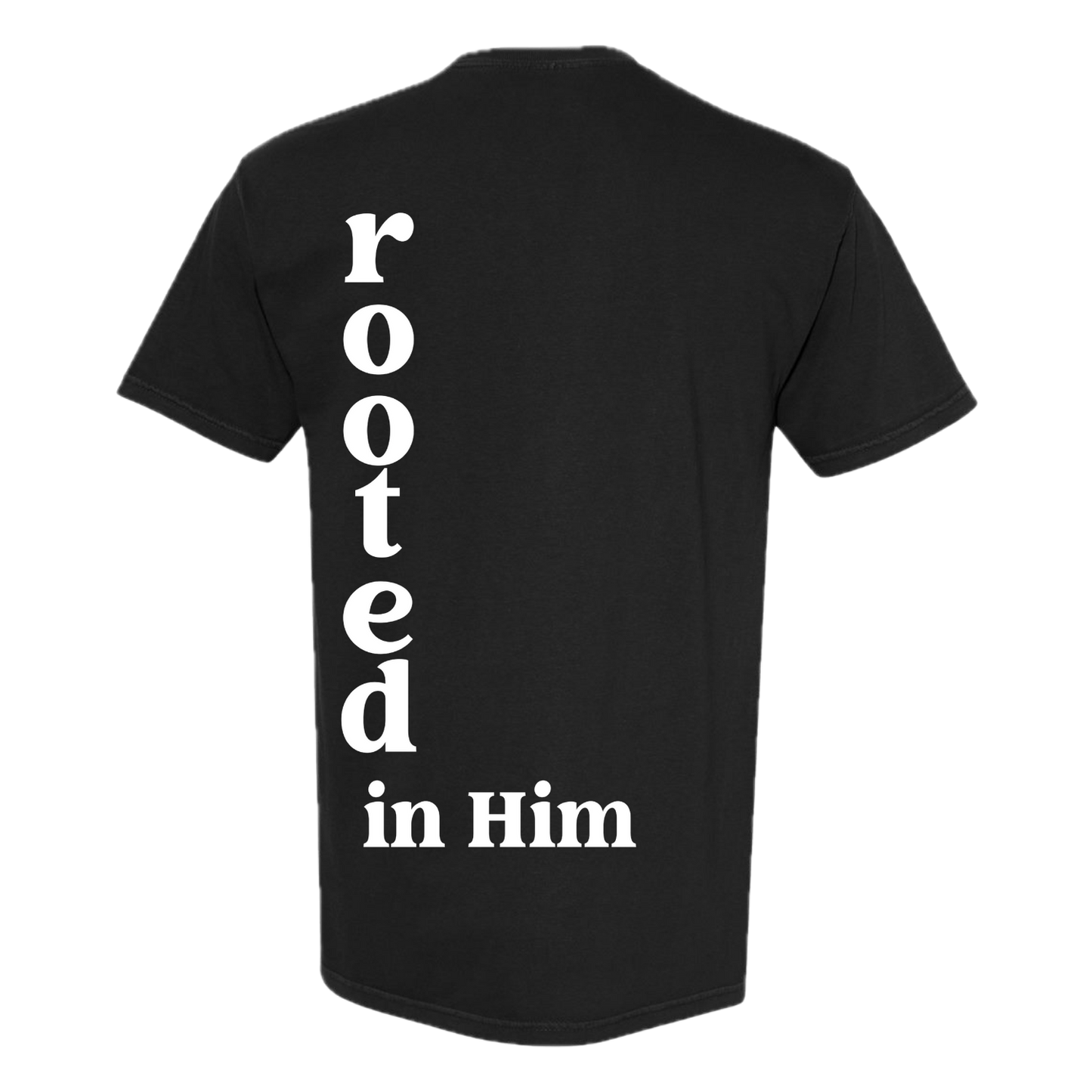 Relaxed Modern Rooted in Him Tee