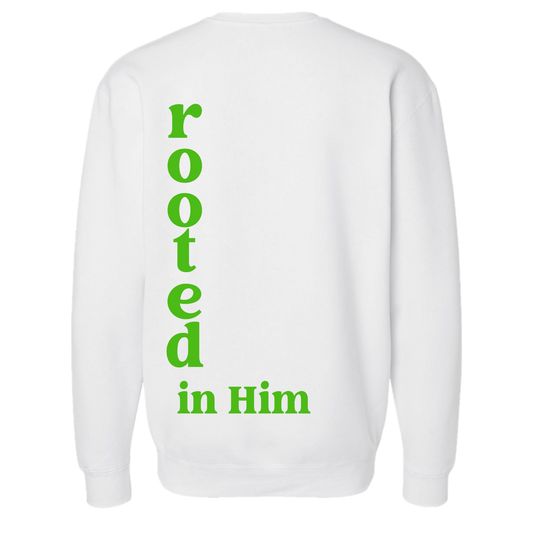 Modern Rooted in Him Crewneck